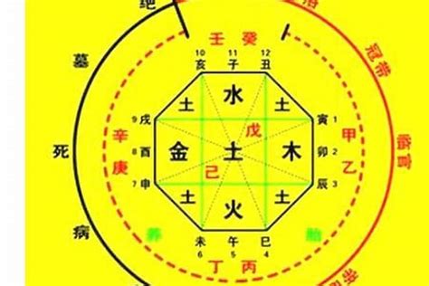 喜用神怎麼算|免費生辰八字五行屬性查詢、算命、分析命盤喜用神、喜忌